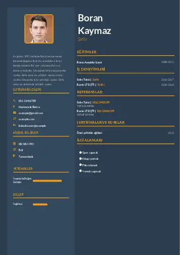 cv indir